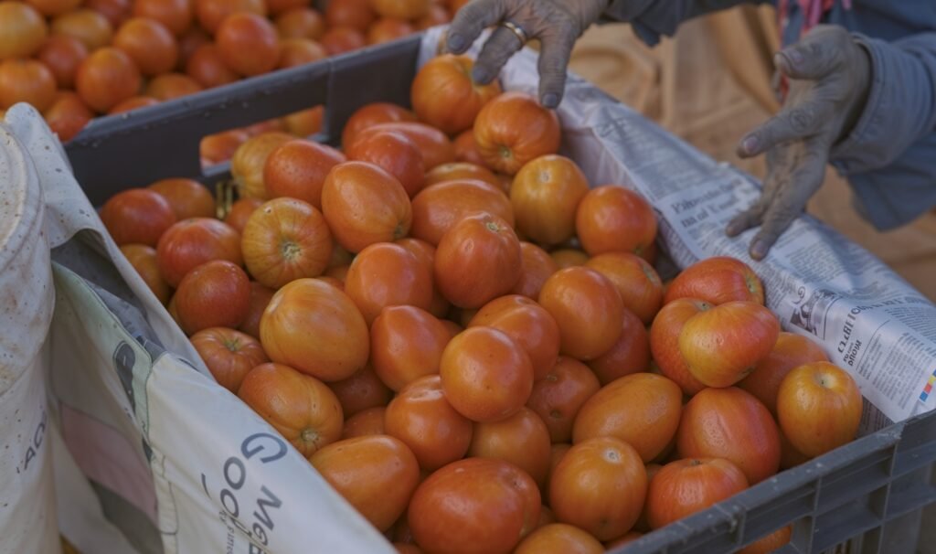 tomatoes