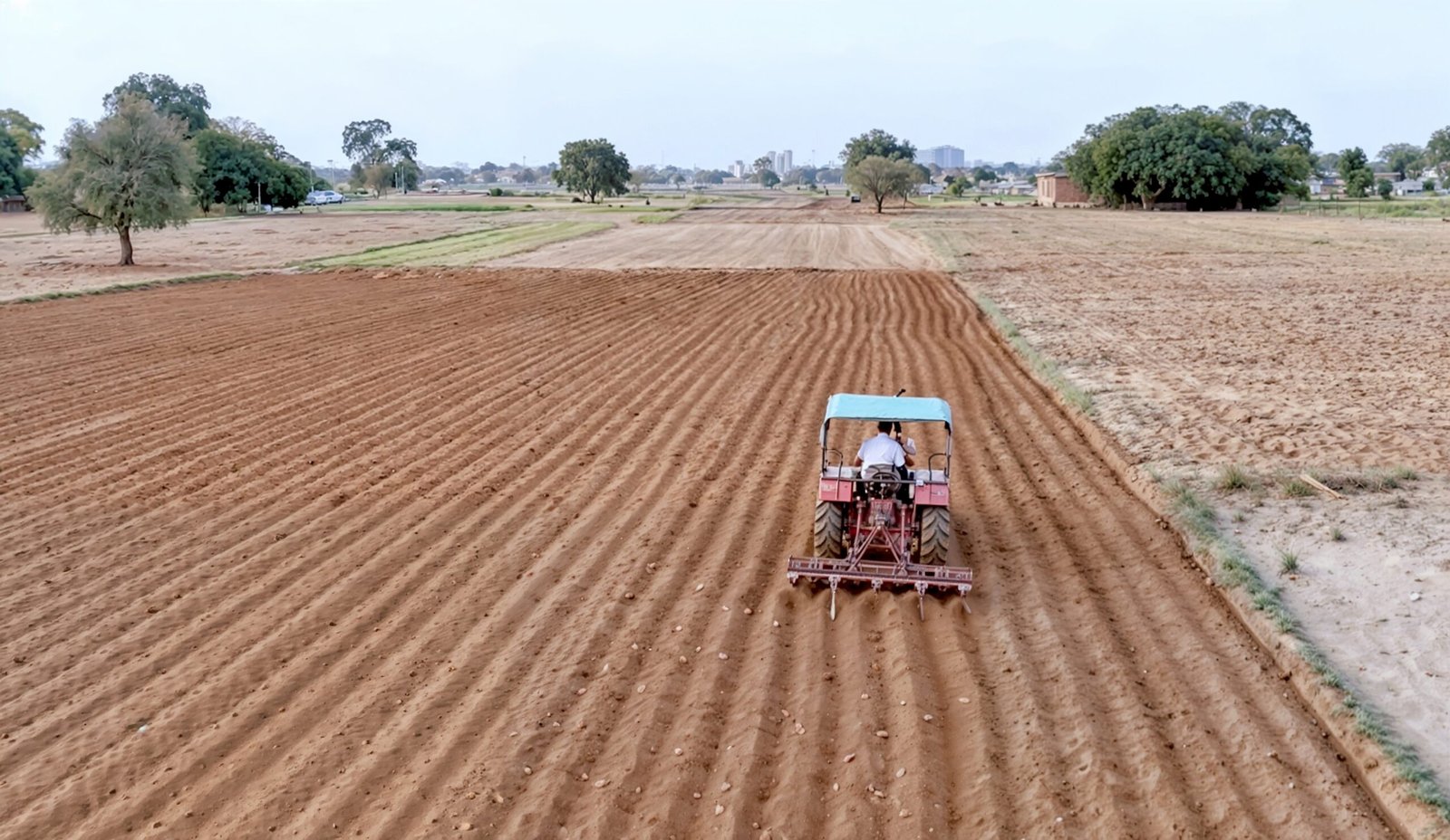 tractor sowing crops